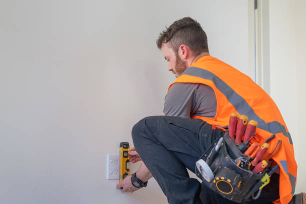 Best Electrical System Inspection  in St Helen, MI